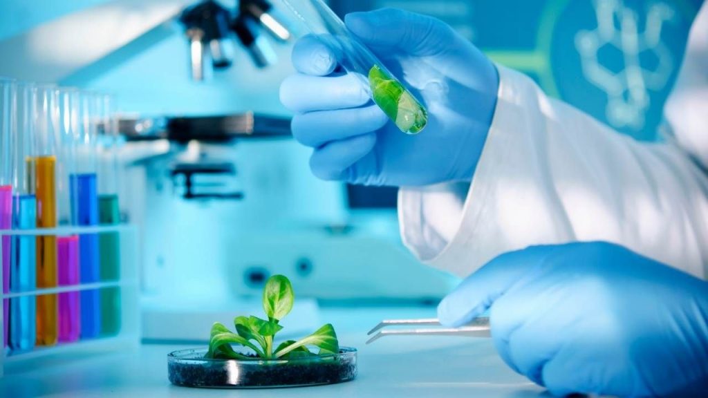 Ngành công nghệ sinh học làm nghề gì - Xu hướng nghề nghiệp 2026