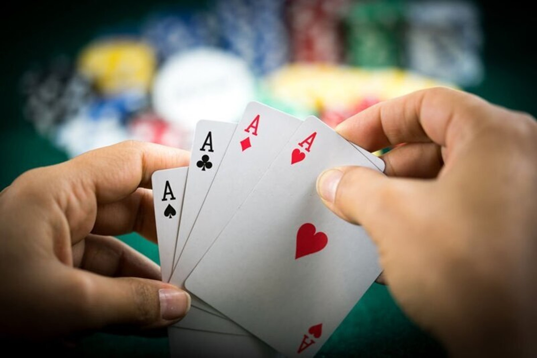 Giải Đáp] Tứ Quý Ăn Được Đôi Heo Không Chi Tiết Từ A - Z - Đọc sách miễn phí