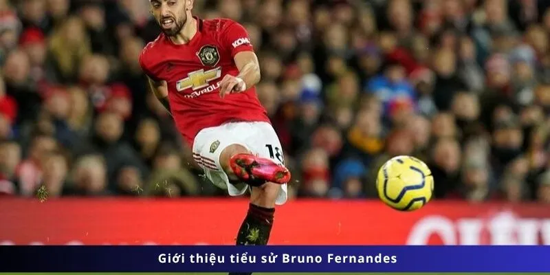 Tiểu sử Bruno Fernandes - Nhạc trưởng người Bồ Đào Nha