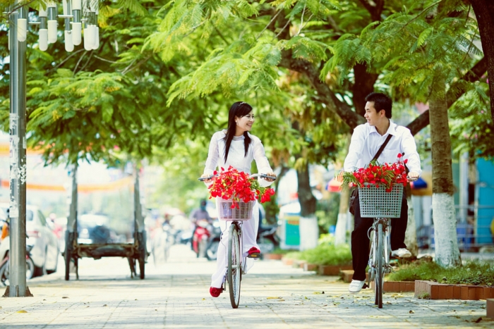 Hoa phượng: Nguồn gốc, ý nghĩa và công dụng trong đời sống